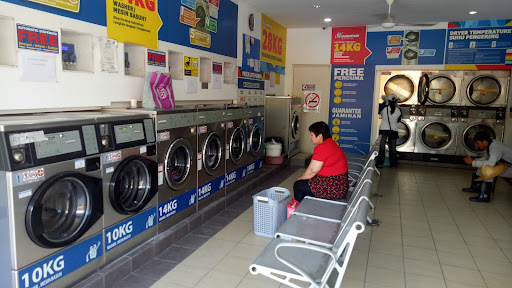 Daily Laundry Daily Laundry